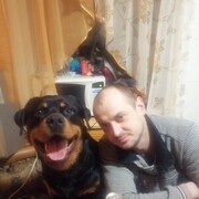 ���������� ��������, ���� ������� �������, 38 ���, ������������ ��� ������, ����� � ���������, c�������� ���������