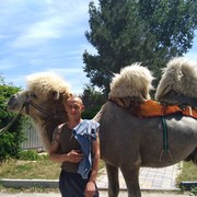  ,   Serj, 43 ,   ,   , c 