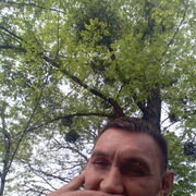 ���������� ����, ���� ������� �����, 44 ����, ������������ ��� ������, ����� � ���������, c�������� ���������