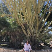 ���������� Kaiserslautern, ���� ������� Lorena, 58 ���, ������������ ��� ������, ����� � ���������, c�������� ���������, ���������