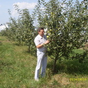  ,   , 53 ,   , 