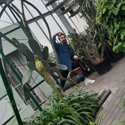 ���������� ������, ���� ������� ����, 29 ���, ������������ ��� ������, ����� � ���������, c�������� ���������