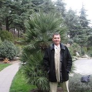  ,   , 46 ,   