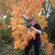 ���������� ���������, ���� ������� �����, 59 ���, ������������ ��� ����� � ���������, c�������� ���������