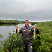 ���������� ���, ���� ������� �����, 56 ���, ������������ ��� c�������� ���������, ���������