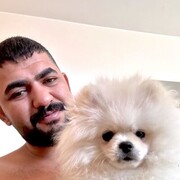  Albano Laziale,   , 31 ,   ,   
