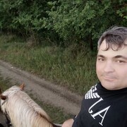 ���������� �����������, ���� ������� ������, 37 ���, ������������ ��� ������, ����� � ���������, c�������� ���������