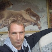 ���������� ������������, ���� ������� ���������, 41 ���, ������������ ��� ������, ����� � ���������