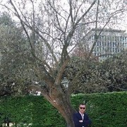  ,   Nicu, 39 ,   ,   , c 