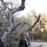  ,  , 53