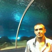  ,   , 38 ,     , c 