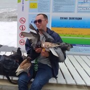 ���������� ���������, ���� ������� �������, 40 ���, ������������ ��� ������, ����� � ���������