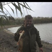 ���������� ���������, ���� ������� �������, 44 ����, ������������ ��� c�������� ���������, ���������