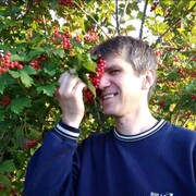 ���������� �������, ���� ������� �������, 46 ���, ������������ ��� ����� � ���������, c�������� ���������