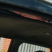 ���������� ������, ���� ������� Den, 44 ����, ������������ ��� ������, ����� � ���������