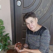  ,  , 53