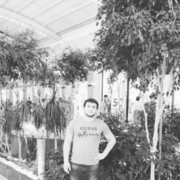 ���������� ������, ���� ������� Murat, 33 ����, ������������ ��� ������, ����� � ���������, c�������� ���������