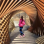  --,   , 25 ,   ,   