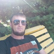  -,  ZAUR, 41