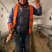 ���������� ������, ���� ������� �������, 37 ���, ������������ ��� ������, ����� � ���������