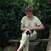 ���������� �����������, ���� ������� ������, 48 ���, ������������ ��� c�������� ���������