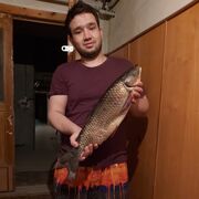 ���������� ����������, ���� ������� ����, 27 ���, ������������ ��� ������, ����� � ���������