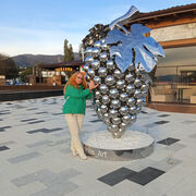 ���������� ������������, ���� ������� ����, 56 ���, ������������ ��� c�������� ���������