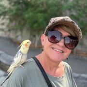  ,   , 62 ,   ,   , 