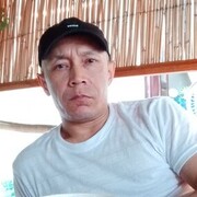  ,    , 41 ,   ,   