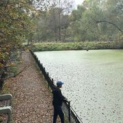 ���������� ������, ���� ������� Ixtiyar, 30 ���, ������������ ��� c�������� ���������