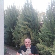  ,   , 53 ,   ,   , 