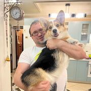 ���������� ��������, ���� ������� ������, 40 ���, ������������ ��� ������, ����� � ���������, c�������� ���������, ���������