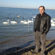  ,   , 55 ,  