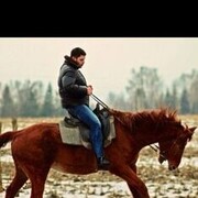  ,   Alexander, 38 ,   ,   , c 