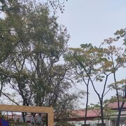 ���������� ����������, ���� ������� ��������, 32 ����, ������������ ��� ����� � ���������