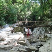 ���������� ����, ���� ������� ������, 46 ���, ������������ ��� ������, ����� � ���������, c�������� ���������