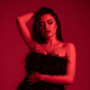 ���������� ����, ���������