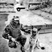 ���������� �����, ���� ����� ������, 24 ����, ������������ ��� ������, ����� � ���������