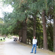  ,   , 44 ,   ,   , c , 