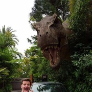 ���������� ������, ���� ������� ������, 44 ����, ������������ ��� ������, ����� � ���������, c�������� ���������