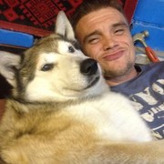 ���������� ��������, ���� ������� �����, 46 ���, ������������ ��� ������