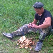  ,   Andrei33, 44 ,   