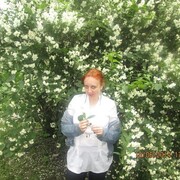 ���������� �����-���������, ���� ������� ���������, 43 ����, ������������ ��� ������, ����� � ���������