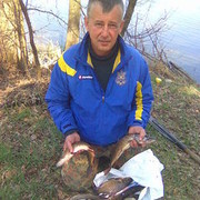 ���������� ����, ���� ������� ����, 62 ����, ������������ ��� ������, ����� � ���������, c�������� ���������