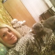 ���������� ������, ���� ������� �������, 39 ���, ������������ 