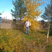  ,   , 65 ,  
