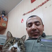 -,   , 34 ,   ,   