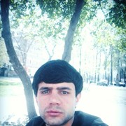  ,   DILOVAR, 33 ,   ,   , c 