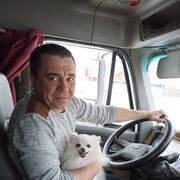 ���������� ����, ���� ������� �����, 40 ���, ������������ ��� c�������� ���������