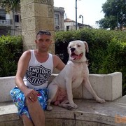  Holon,   Alex, 46 ,   